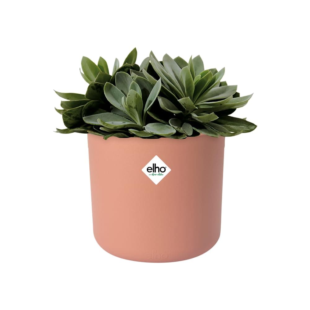 elho B.for Soft Rund 14cm puķu pods - Zartrosa