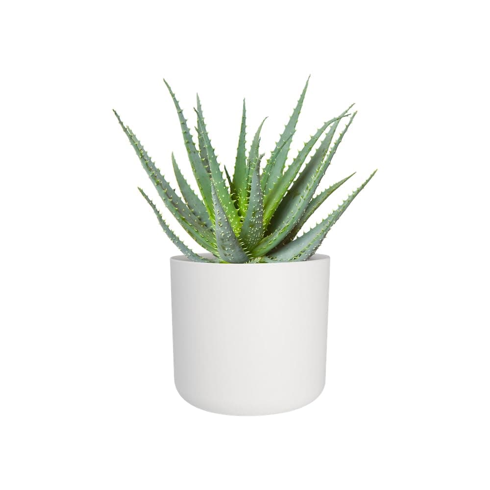 elho B.for Soft Rund 18cm puķu pods - Leaf Green
