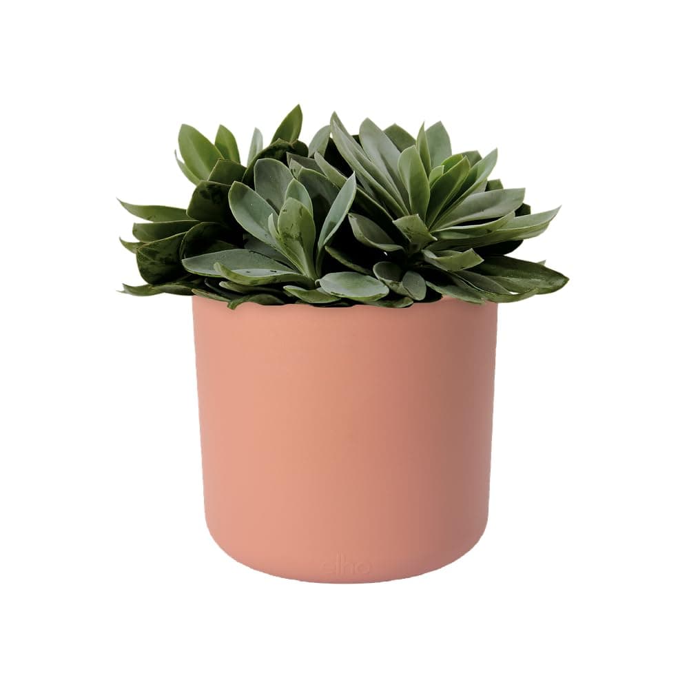 elho B.for Soft Rund 14cm puķu pods - Zartrosa