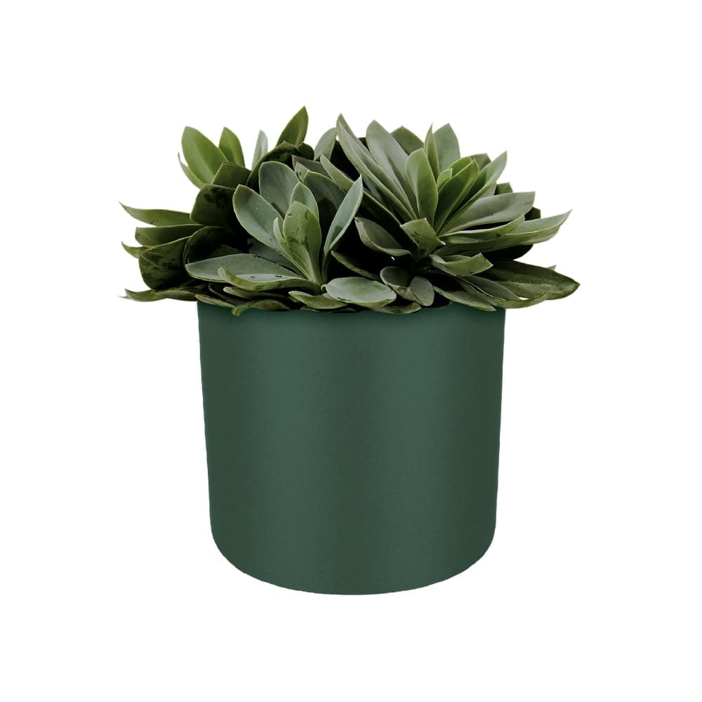 elho B.for Soft Rund 18cm puķu pods - Leaf Green