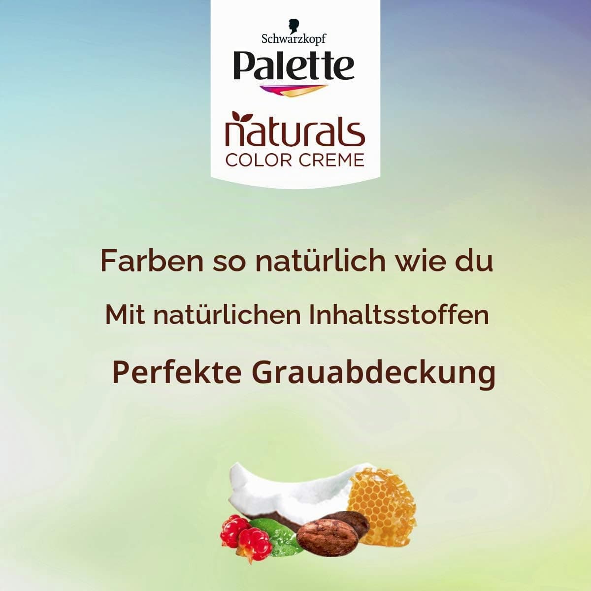 Palette Nc 4 Castaño Medio Pincel Es matu krāsa