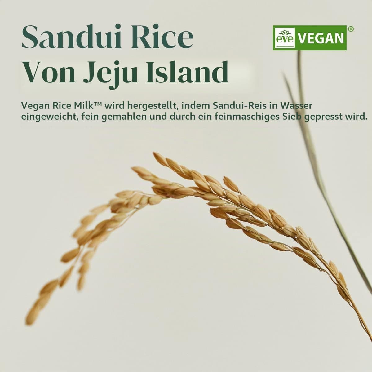 GOODAL Vegane Reismilch Mitrinošais Krēms