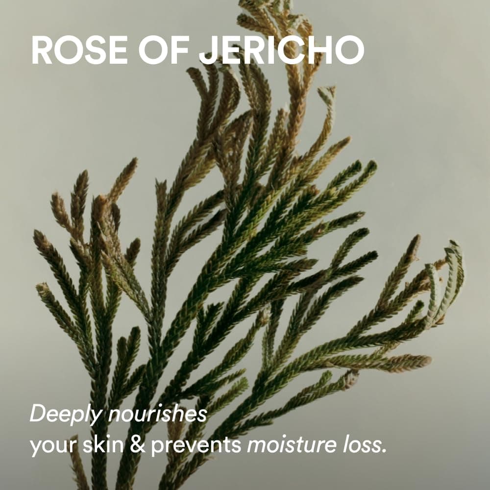 Abib Jericho Rose Collagen Pad