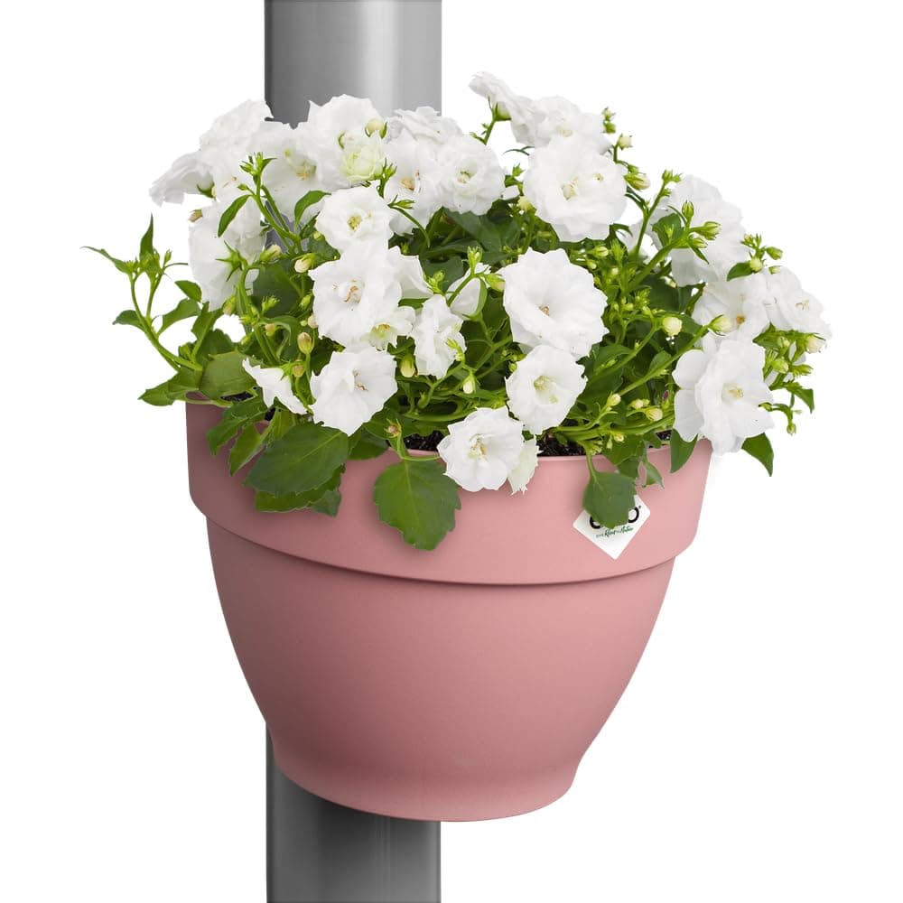elho Vibia Campana podiņš 22cm - Pūderrozā