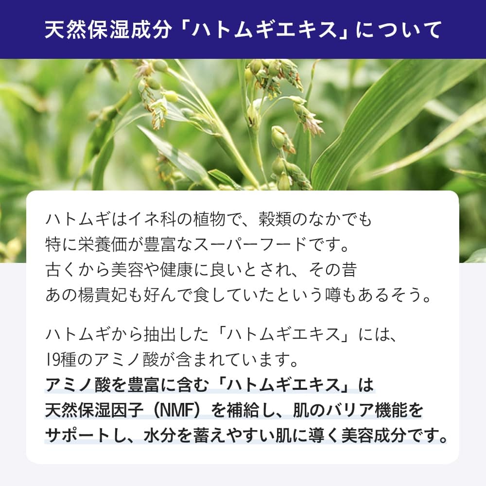 naturie Skin Conditioner R (Hatomugi / Job’s Tears Skin Conditioner) 500 mL