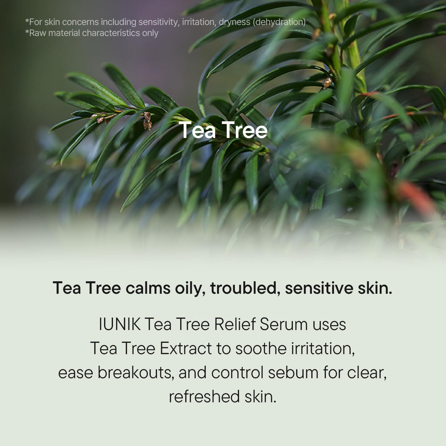 iUNIK Tea Tree Relief Serum, 50 ml