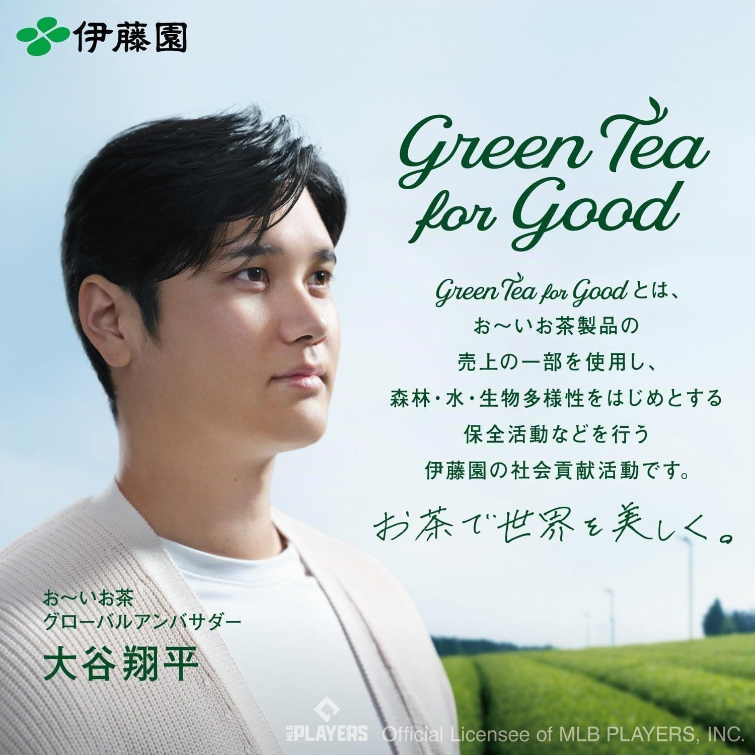 Itoen Premium Hojicha tējas maisiņi