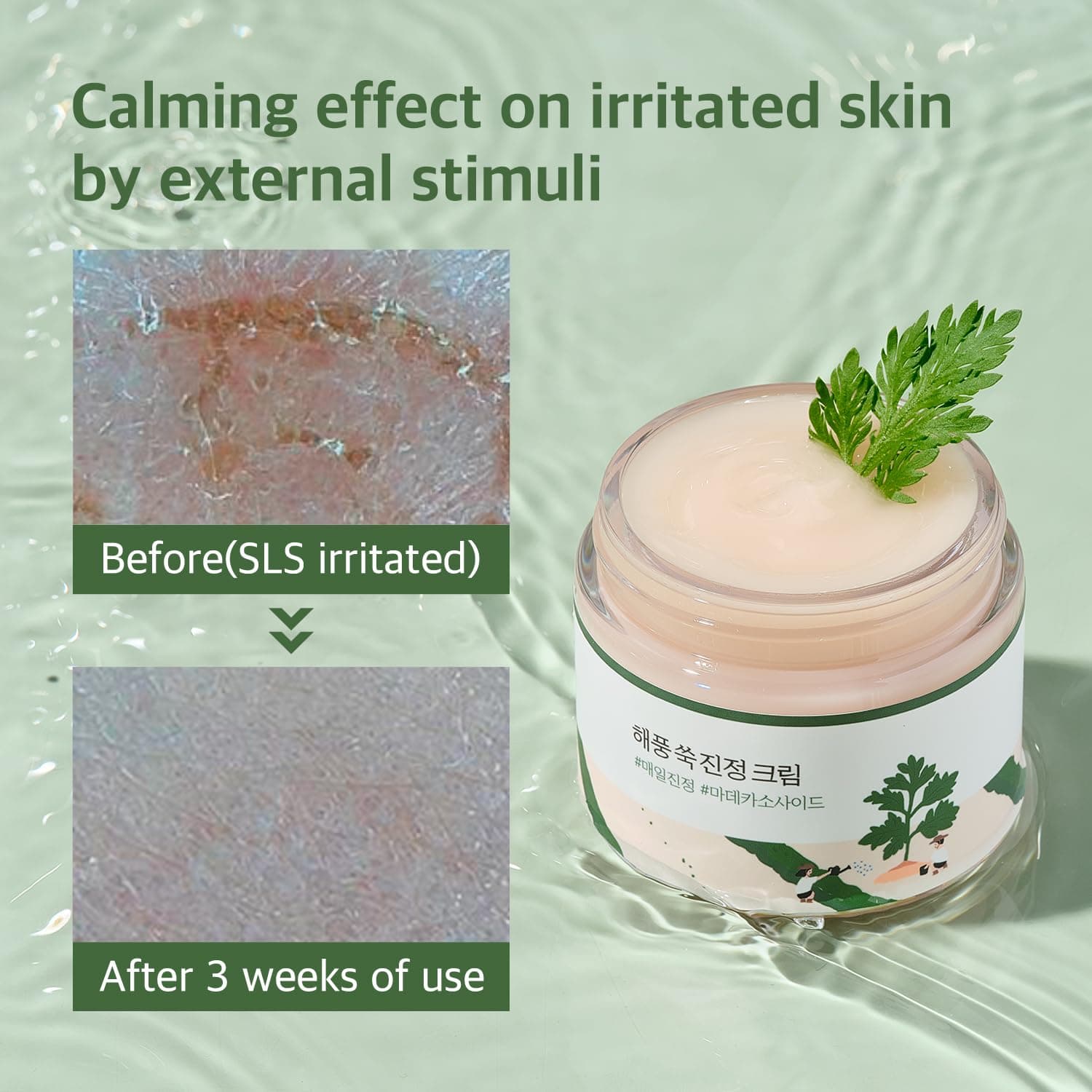ROUND LAB Mugwort Calming Cream (80 ml)