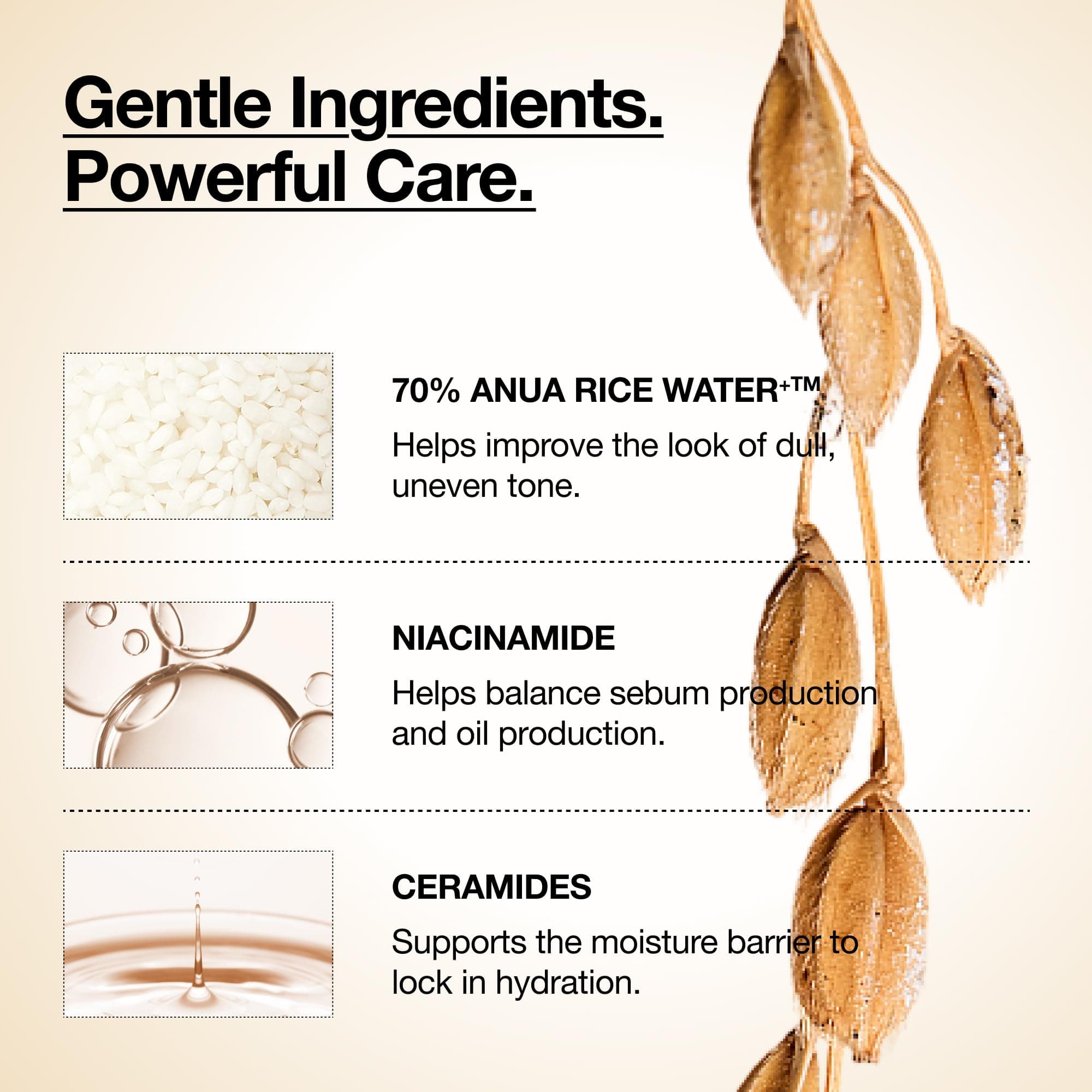 ANUA Rice 70 Glow Milky Toner