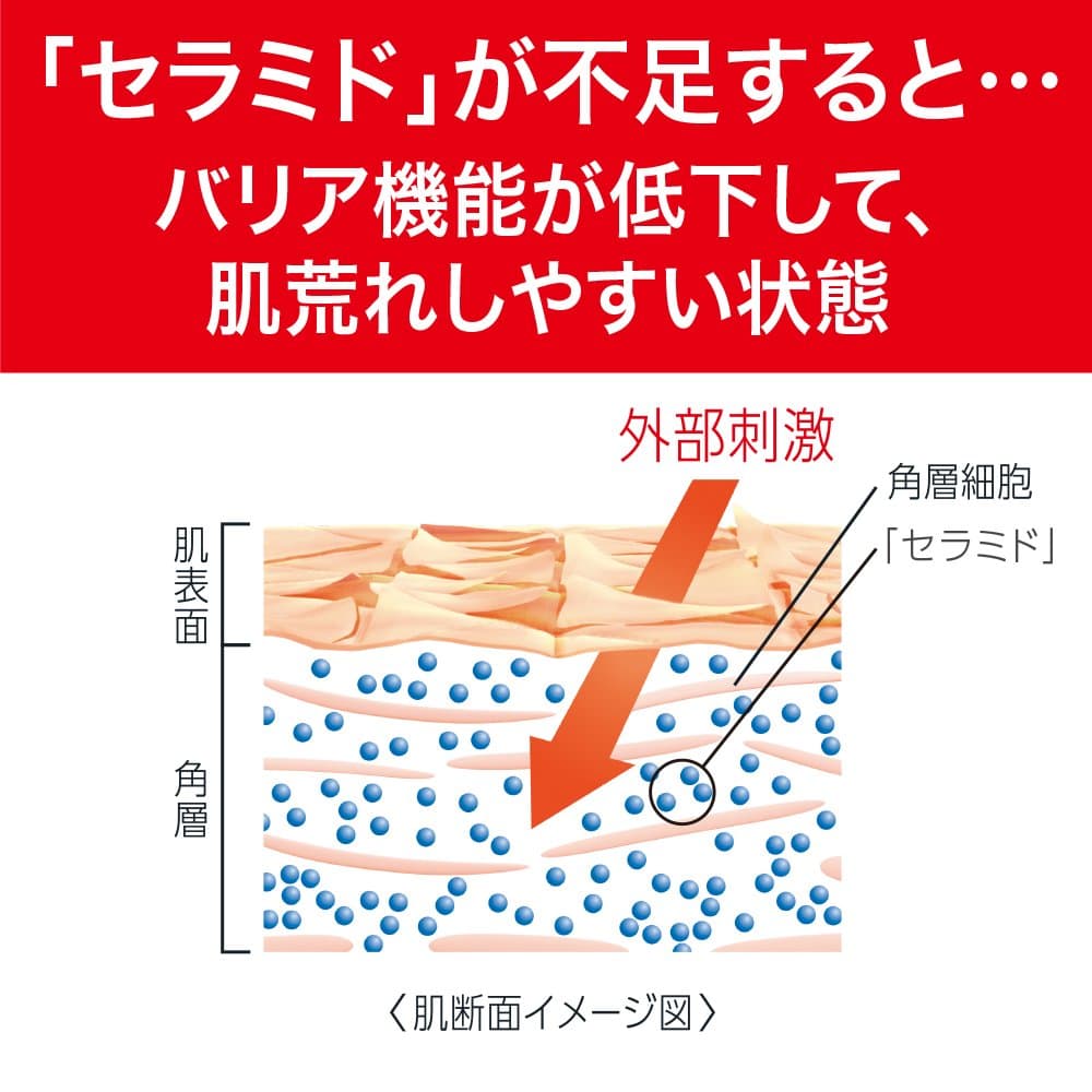 Kao Curel | Skin Care | Feuchtigkeitscreme 90 g (Japan Import)