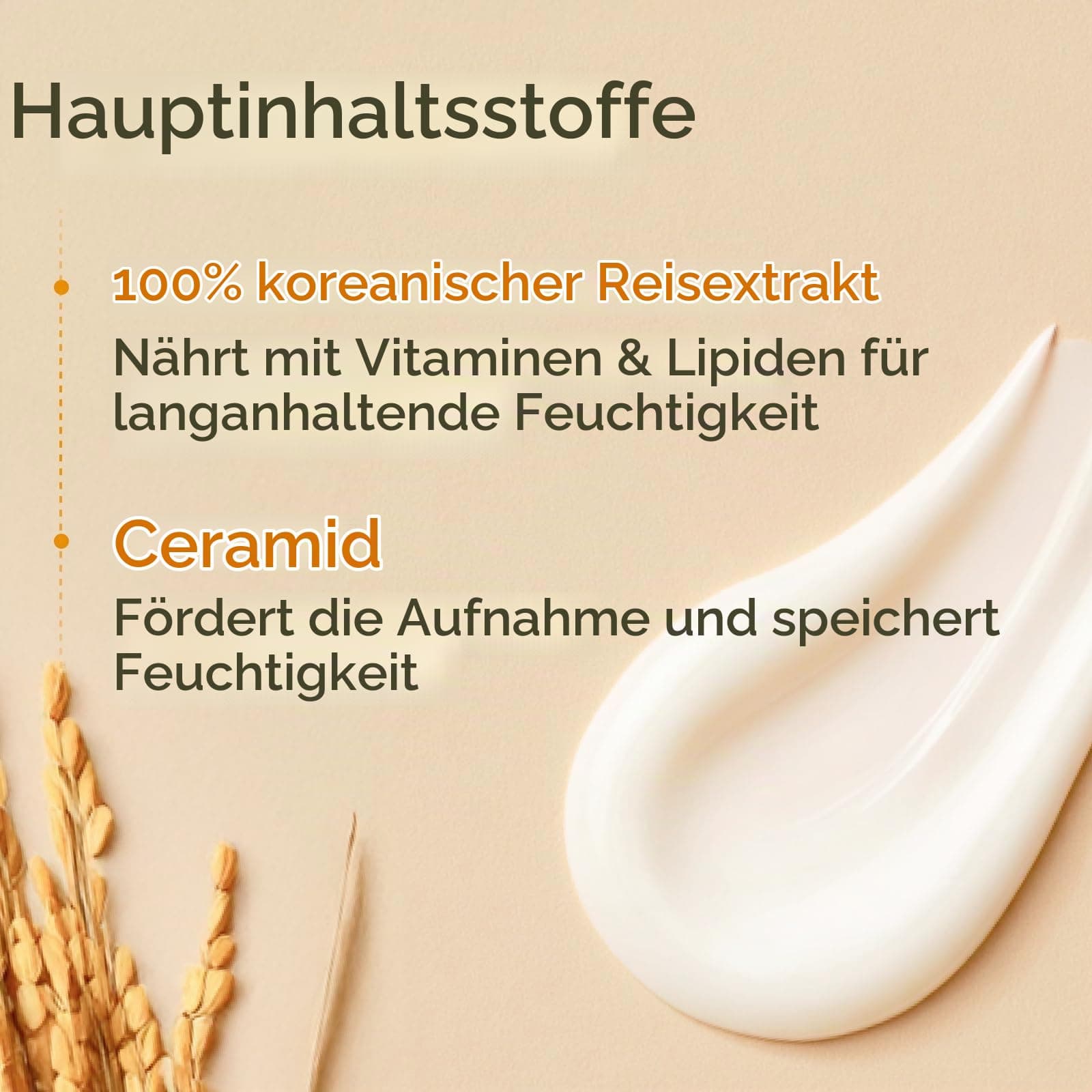 The Face Shop Rice Ceramide Cream 50ml