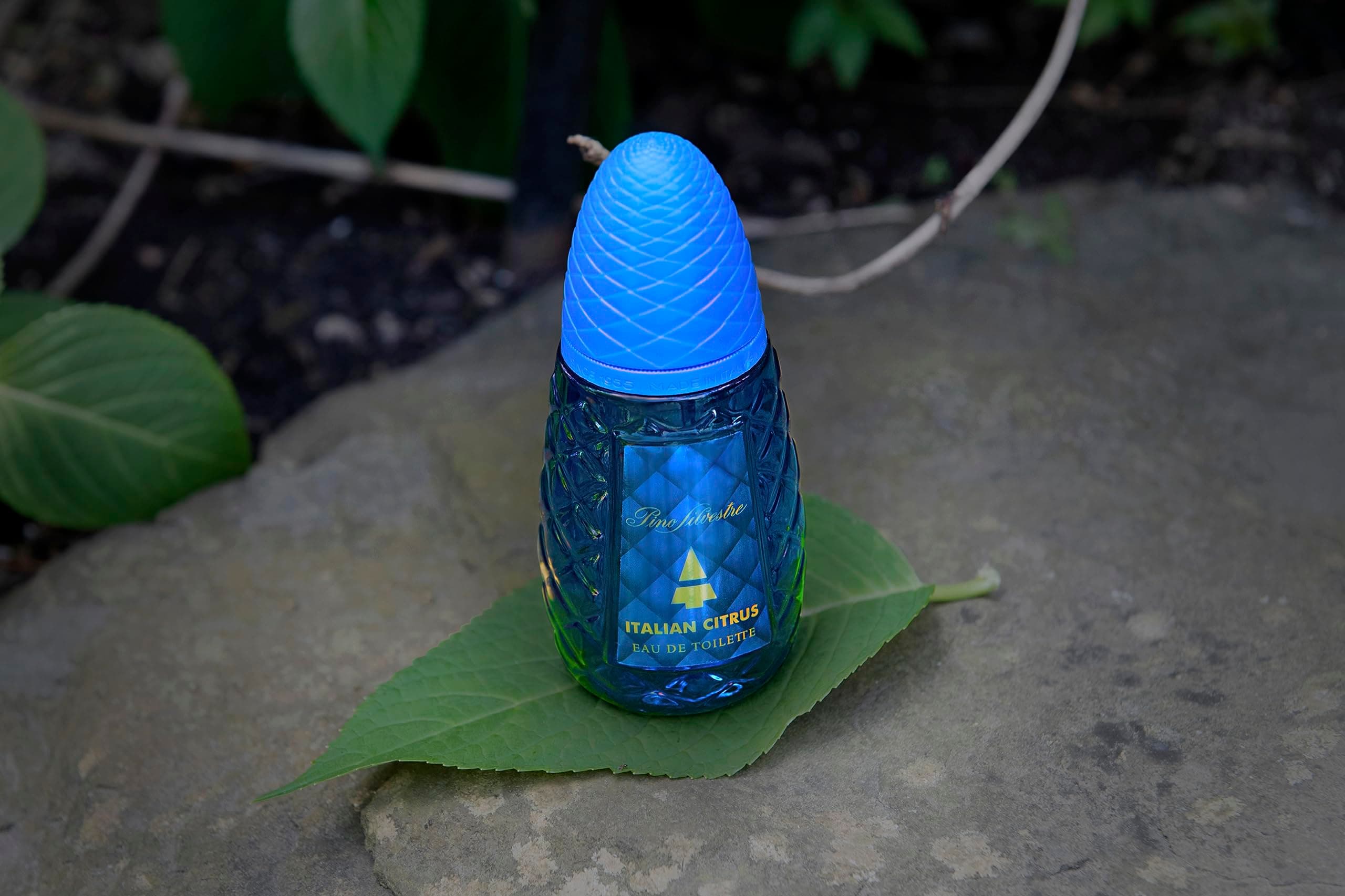 Pino Silvestre Italian Citrus Eau de Parfum