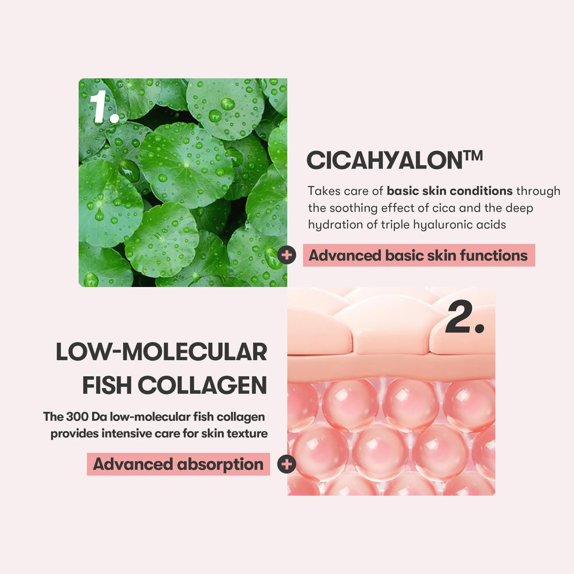 VT COSMETICS VT Cica Collagen Acu krēms