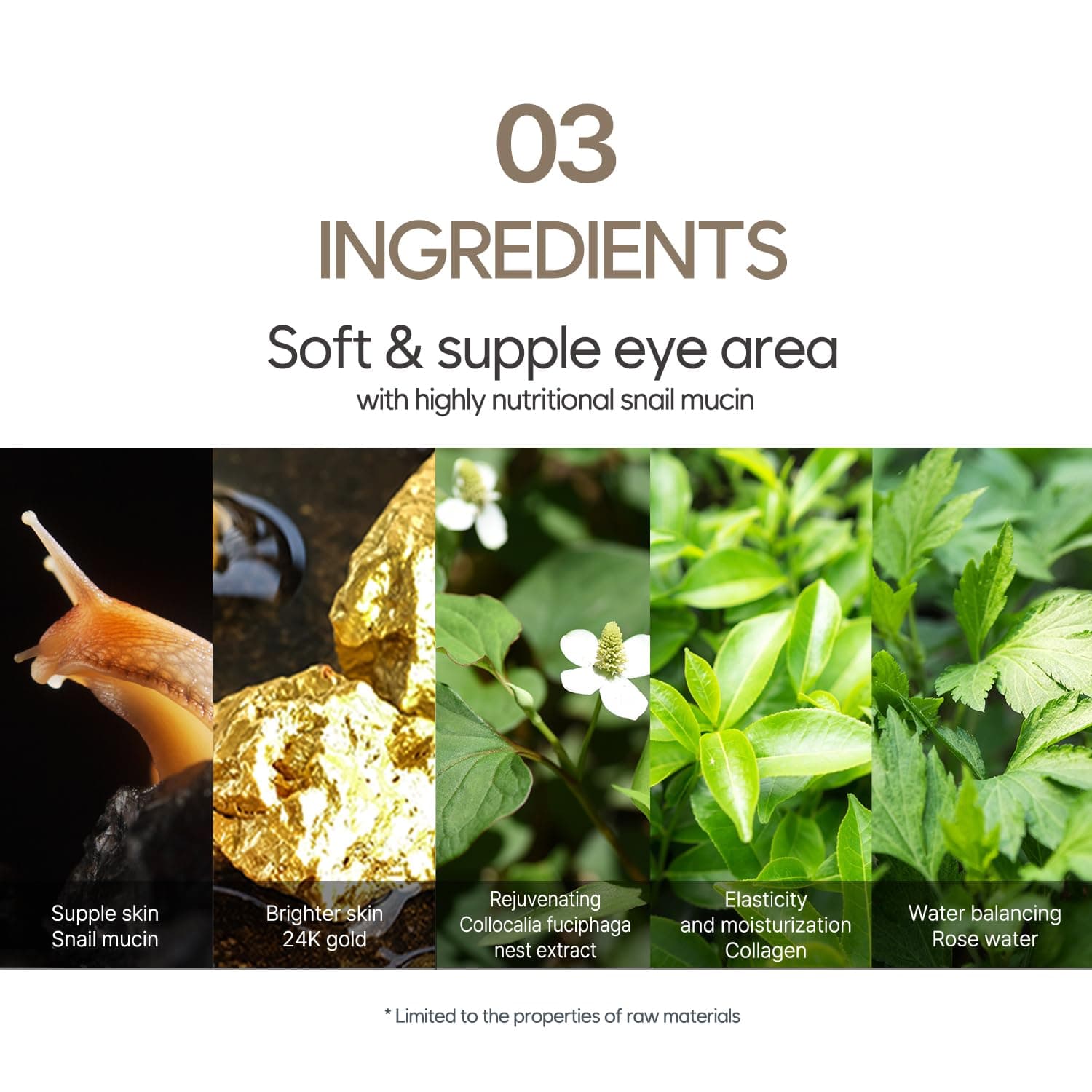 Petitfee Gold & Snail Hydrogel Augenklappen