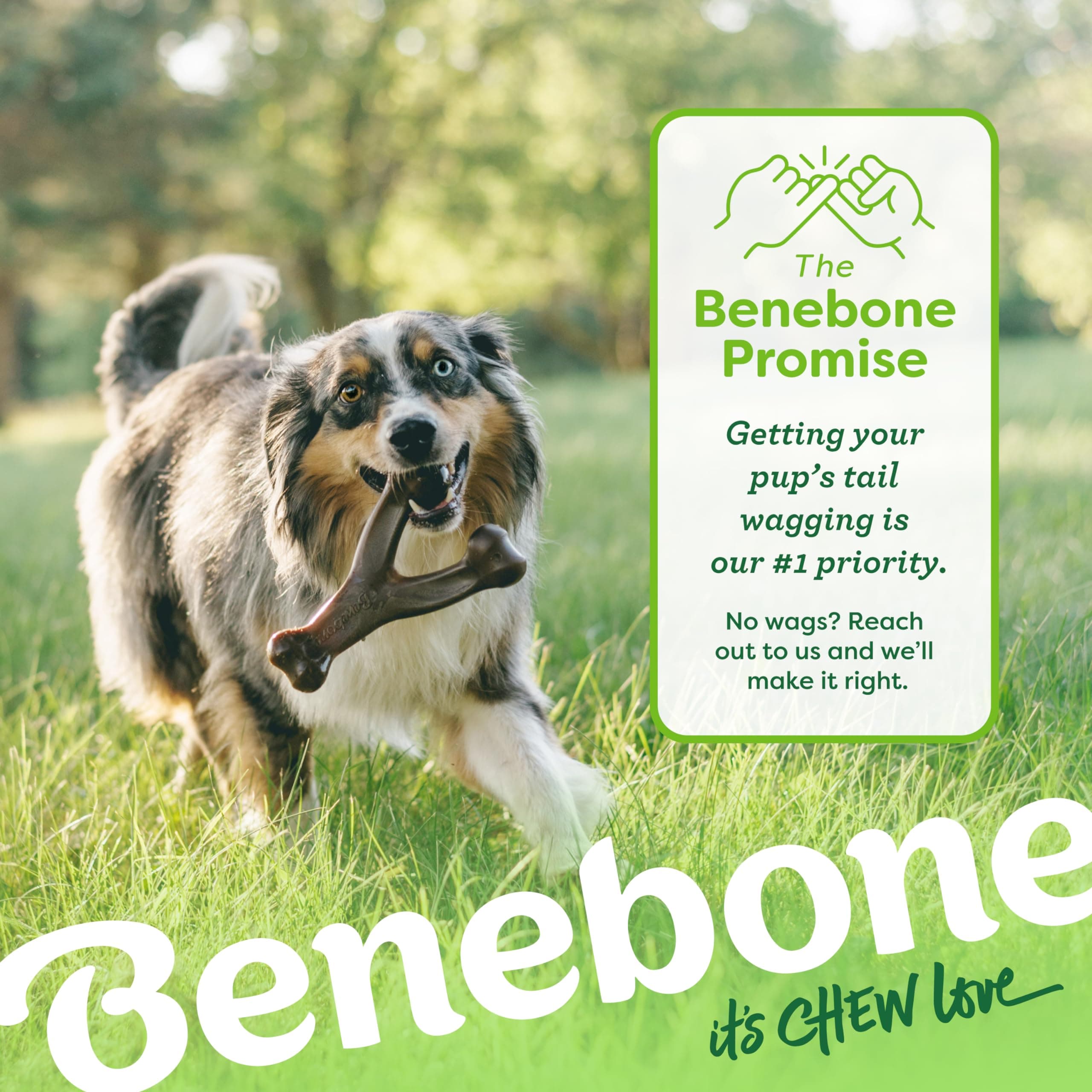 Benebone Wishbone Kauspielzeug, vidēja izmēra